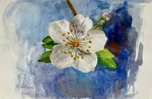 sl 05 blossom watercolor 20x15 cm 2023