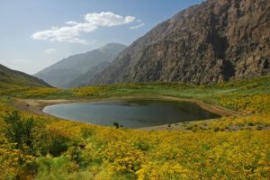colorful spring, dena, iran 1