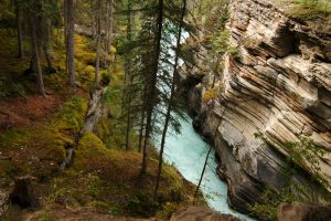 jasper national park, canada
