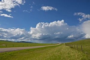 motion, calgary, canada