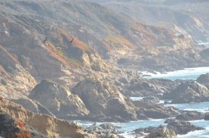 soaring to the distance