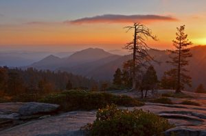 the last ray of light, usa