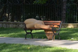 photo 2025 11 14 19 51 44