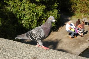 photo 2025 11 14 19 51 49